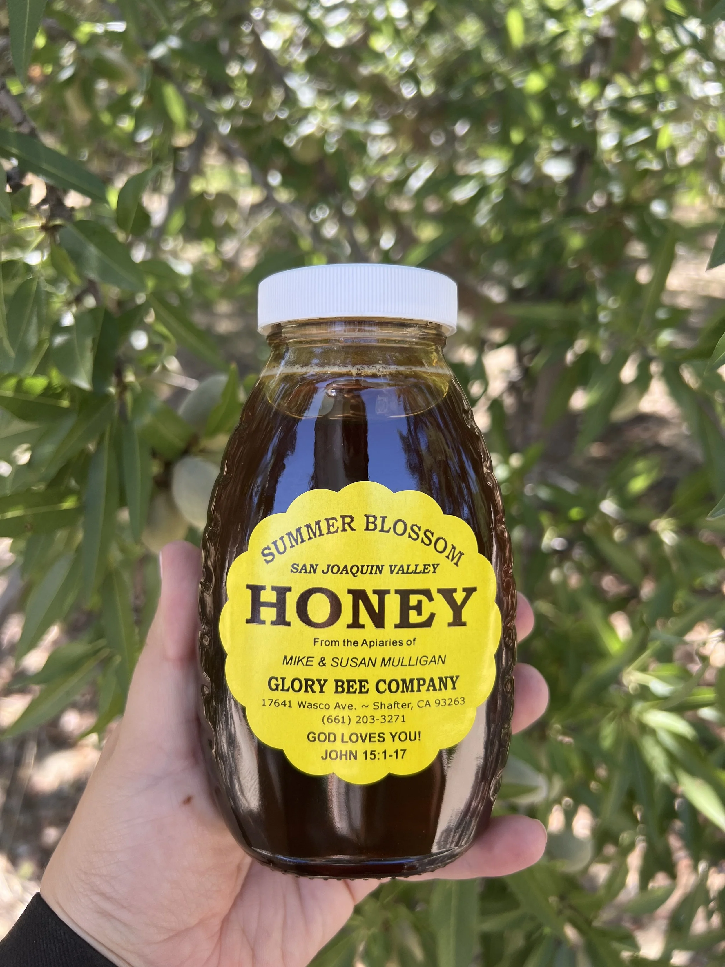 Shop — Almond Girl
